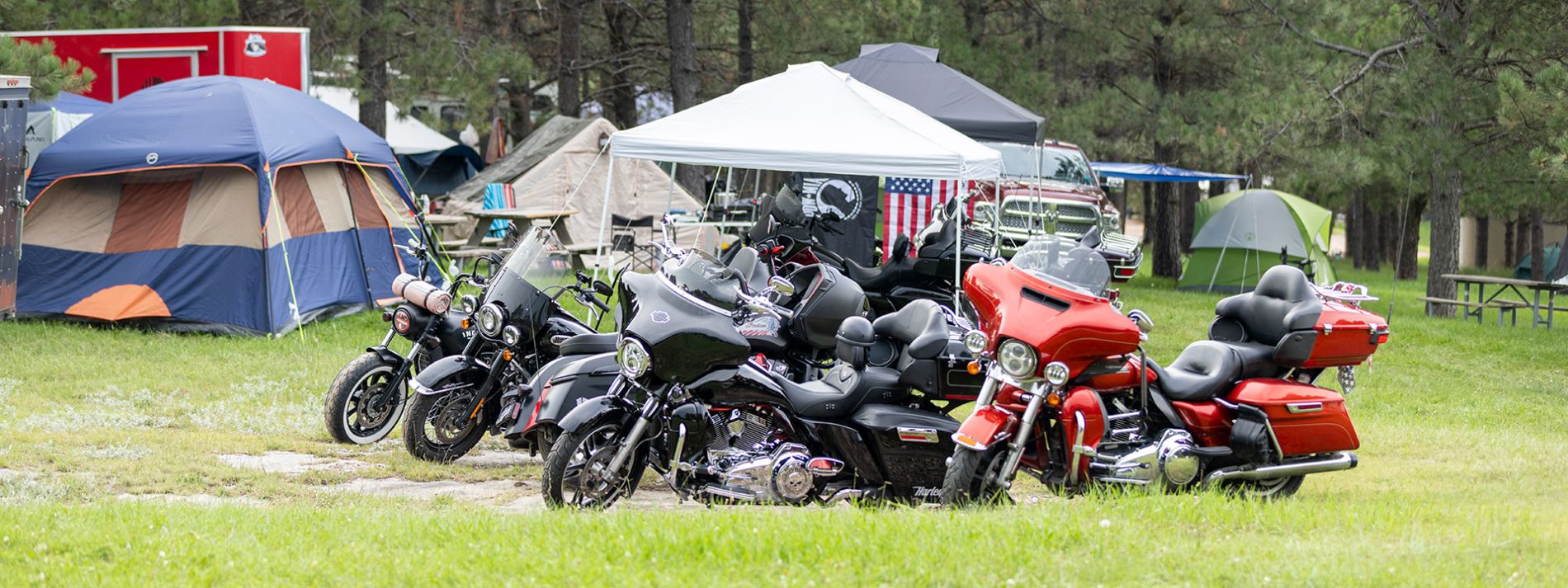 Campground Infomation